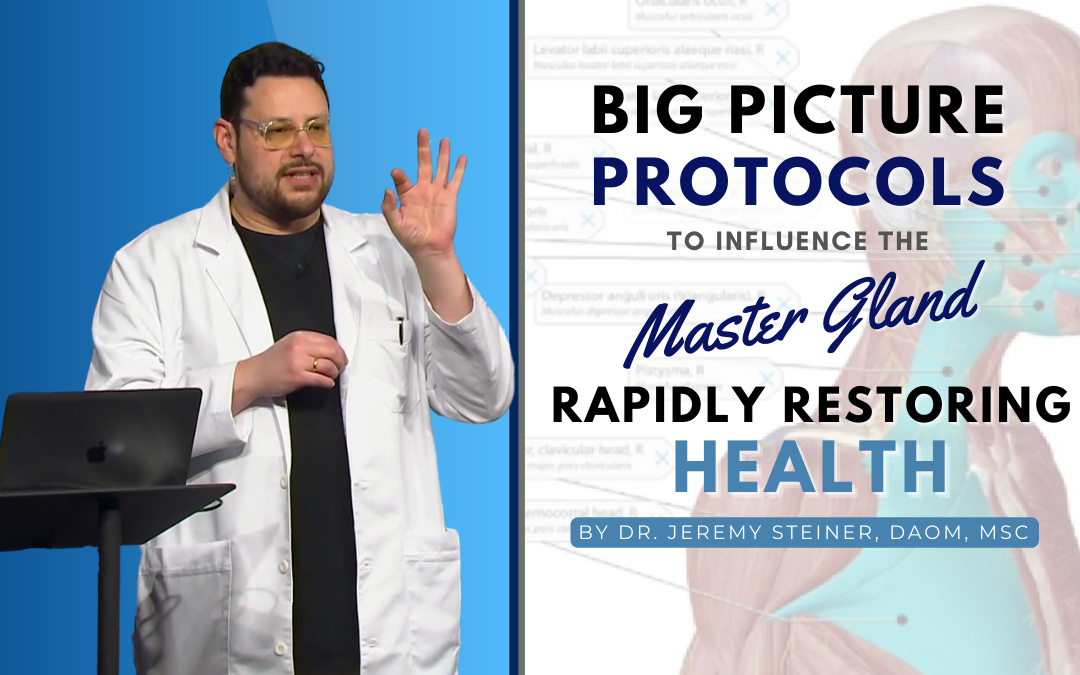 Big Picture Protocols To Influence The Master Gland Rapidly Restoring Health