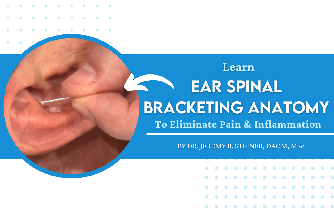 Learn Ear Spinal Bracketing Anatomy To Eliminate Pain & Inflammation