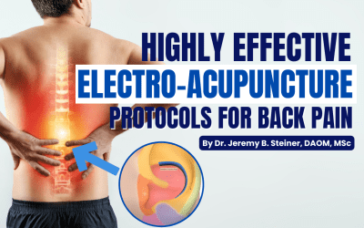 Highly Effective Electro Acupuncture Protocols For Back Pain
