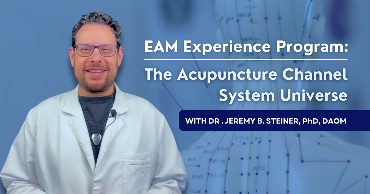 Sneak Peek Into The EAM Experience Program The Acupuncture Channel System Universe Blog