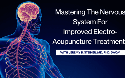 Mastering The Nervous System For Improved Electro Acupuncture Treatments